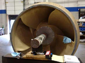 Impeller with cavitation damage